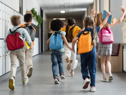 School Safety Laws – Emergency Planning Security and District Responsibilities